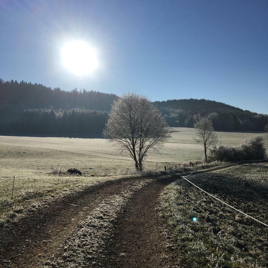 Gite La Janiat Montigny-sur-l'Ain Zewnętrze zdjęcie